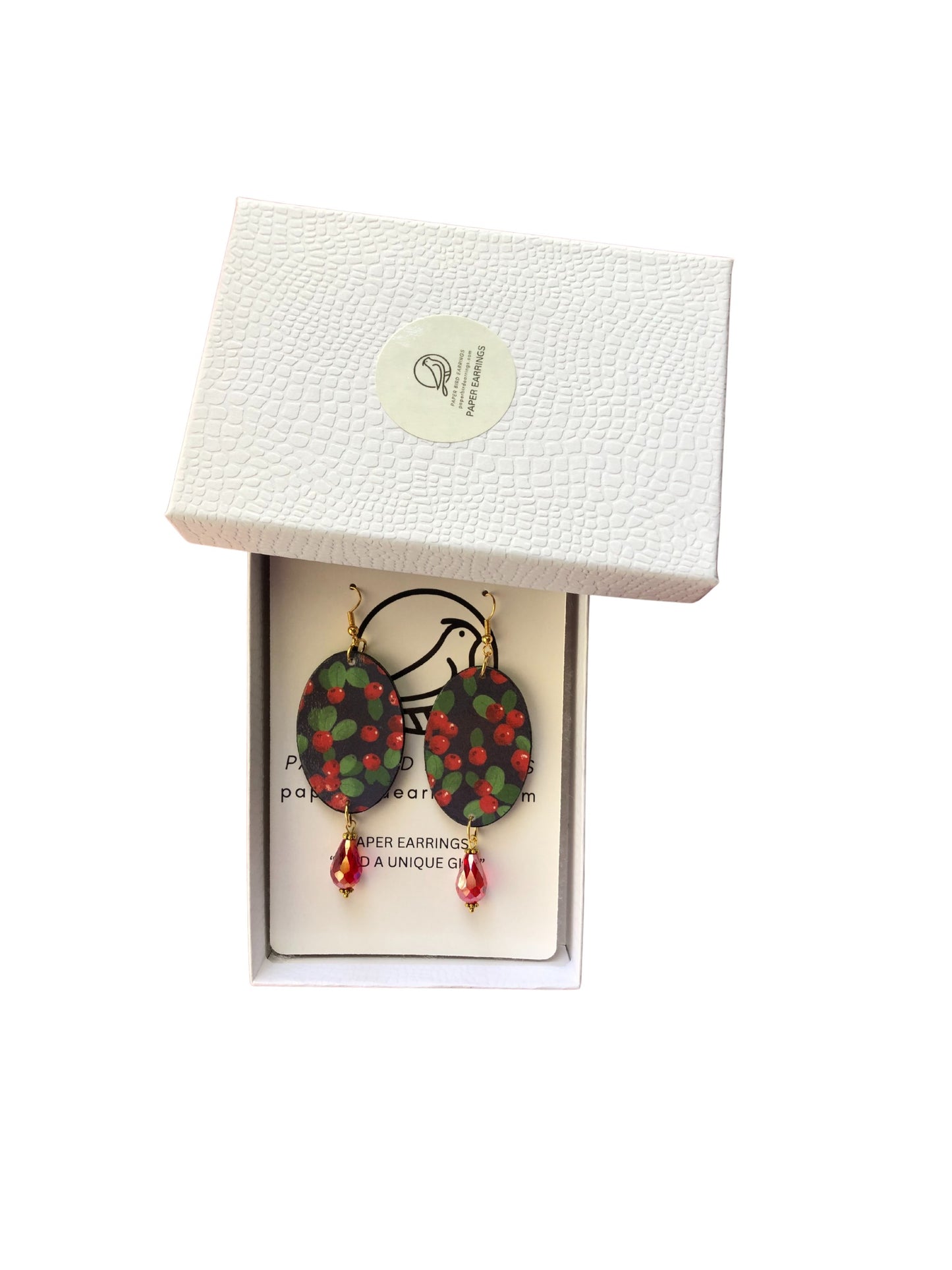 Pair of earrings in a white box with a visible brand logo.
